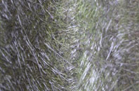 Tyttenhanger fibreglass roof work